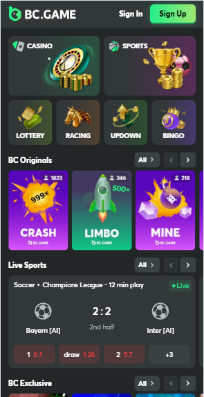Exploring the Thrills of BC.Game Casino 1